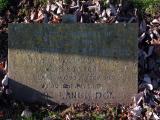 image of grave number 912523